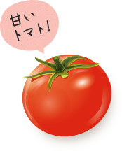 甘いトマト！